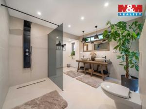 Prodej rodinného domu, Račice, 180 m2