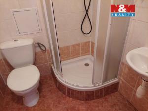 Pronájem bytu 1+1, Příbram - Příbram VII, Mariánská, 40 m2