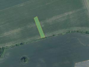 Prodej pole, Žeraviny, 3981 m2