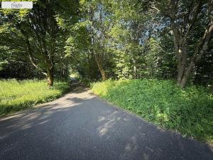 Prodej pozemku, Dubí - Cínovec, 1200 m2