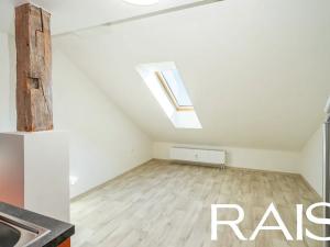 Prodej bytu 2+1, Brno, Vodní, 53 m2