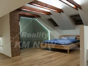 Pronájem bytu 3+kk, Kroměříž, 137 m2