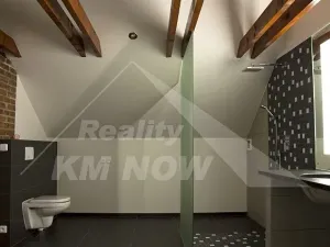 Pronájem bytu 3+kk, Kroměříž, 137 m2