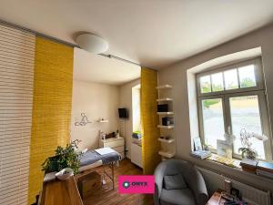 Pronájem obchodního prostoru, Velká Bíteš, Karlov, 270 m2