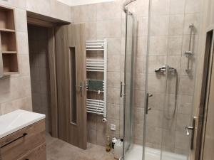 Pronájem bytu 2+kk, Prostějov, 64 m2