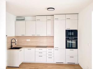Pronájem bytu 1+kk, Praha - Hodkovičky, Šenácká, 30 m2