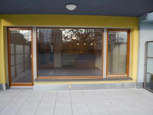 Pronájem bytu 4+kk, Praha - Vokovice, Tibetská, 140 m2