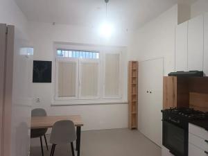 Pronájem bytu 1+1, Brno, Špitálka, 45 m2