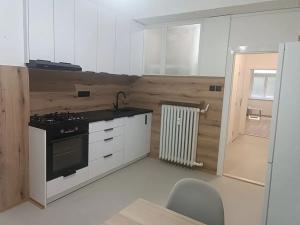 Pronájem bytu 1+1, Brno, Špitálka, 45 m2