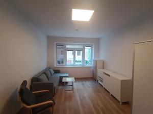 Pronájem bytu 1+1, Brno, Špitálka, 45 m2