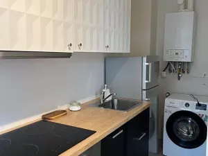 Pronájem bytu 2+kk, Praha - Nusle, Mečislavova, 50 m2