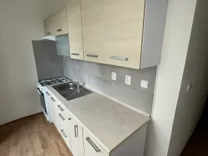 Pronájem bytu 1+1, Nový Jičín, Luční, 38 m2
