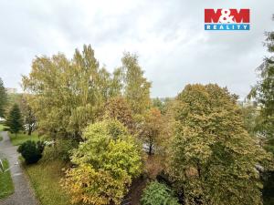 Prodej bytu 1+1, Havířov - Podlesí, Okrajová, 35 m2