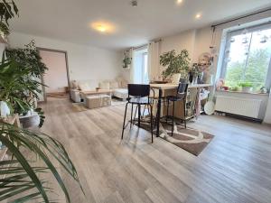 Prodej bytu 2+kk, Nový Jičín, Dolní brána, 48 m2