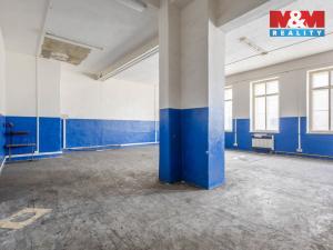 Pronájem výrobních prostor, Krásná Lípa, Stradalova, 800 m2
