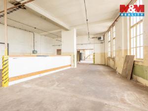 Pronájem výrobních prostor, Krásná Lípa, Bezručova, 5000 m2