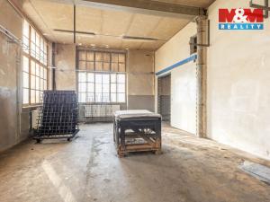 Pronájem výrobních prostor, Krásná Lípa, Bezručova, 5000 m2