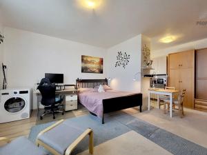 Prodej bytu 1+kk, Brno, Celní, 39 m2