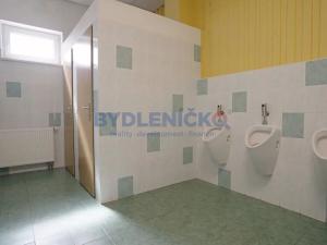 Prodej rodinného domu, Staré Hodějovice, Dolní, 2163 m2
