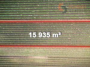 Prodej sadu/vinice, Březí, 15935 m2