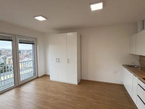 Pronájem bytu 1+kk, Přerov, Čechova, 39 m2