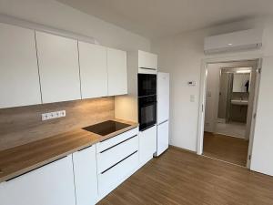 Pronájem bytu 1+kk, Přerov, Čechova, 39 m2