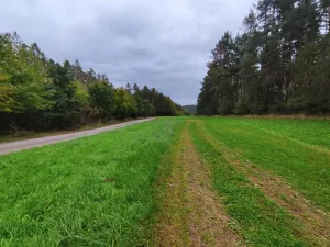 Prodej lesa, Nečín, 44533 m2