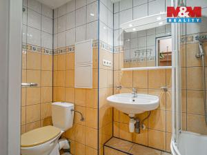 Prodej bytu 2+1, Český Těšín, Slezská, 59 m2