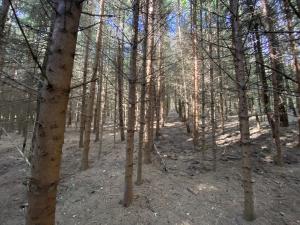 Prodej lesa, Lánov - Horní Lánov, 8914 m2