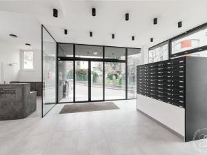 Pronájem bytu 1+kk, Praha - Vinohrady, Perucká, 27 m2
