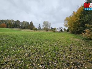 Prodej louky, Jedlí, 7881 m2