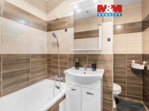 Prodej bytu 1+1, Ústí nad Labem - Ústí nad Labem-centrum, Hornická, 40 m2