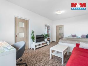 Prodej bytu 1+1, Ústí nad Labem - Ústí nad Labem-centrum, Hornická, 40 m2