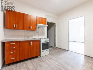 Prodej činžovního domu, Ústí nad Labem - Krásné Březno, Družstevní, 240 m2