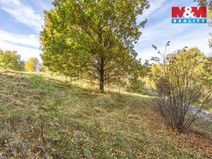 Prodej pozemku pro bydlení, Jiříkov, Mánesova, 3659 m2