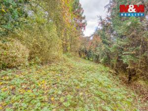Prodej chaty, Hromnice - Planá, 75 m2