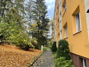 Pronájem bytu 2+1, Děčín - Děčín II-Nové Město, Kamenická, 50 m2