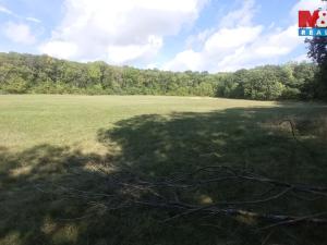 Prodej louky, Jenčice, 16692 m2