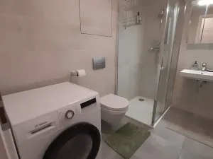 Pronájem bytu 1+kk, Praha - Žižkov, Hartigova, 39 m2