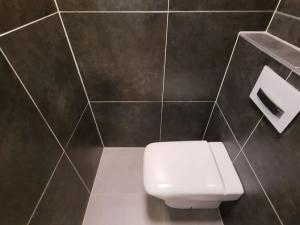 Pronájem bytu 2+1, Brno, Botanická, 70 m2