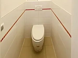 Pronájem bytu 2+1, Brno, Palackého třída, 50 m2