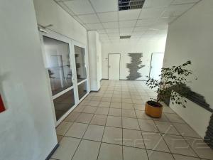 Prodej obchodního prostoru, Znojmo, Vídeňská třída, 5100 m2