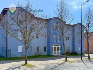 Prodej bytu 1+kk, Šestajovice, Revoluční, 19 m2