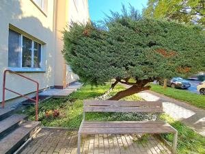 Pronájem bytu 2+1, Zlín, Tyršova, 56 m2