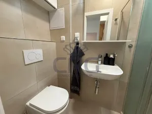 Pronájem bytu 2+kk, Brno, Nové sady, 48 m2