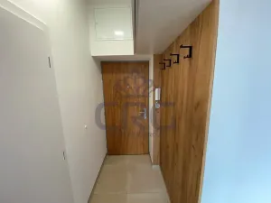 Pronájem bytu 2+kk, Brno, Nové sady, 48 m2