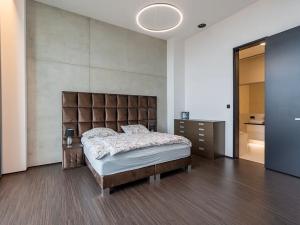 Pronájem bytu 4+kk, Brno, Šumavská, 280 m2