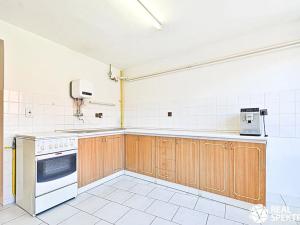 Prodej rodinného domu, Cetkovice, Velká Strana, 420 m2