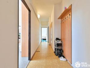 Prodej rodinného domu, Cetkovice, Velká Strana, 420 m2