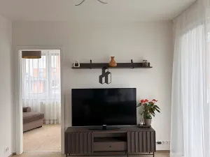 Pronájem bytu 2+kk, Praha - Žižkov, Olgy Havlové, 50 m2